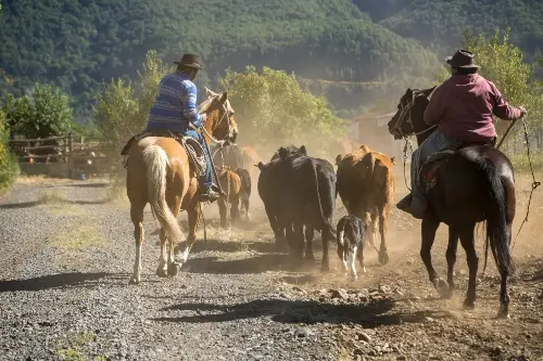 Comunidades arrieras en la mira de los premios más prestigiosos de conservación de montaña - Fulloutdoor