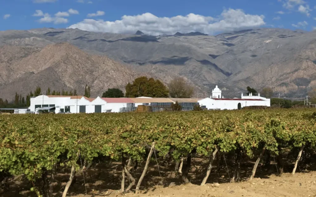 Desde Salta: Cafayate, tierra de vinos e imponentes quebradas - Fulloutdoor