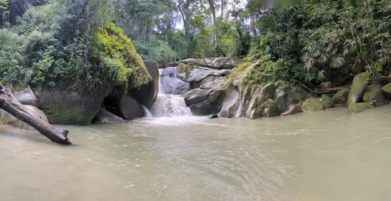 Minca, Cascada & Taller de Cacao + Taller de Café - Fulloutdoor