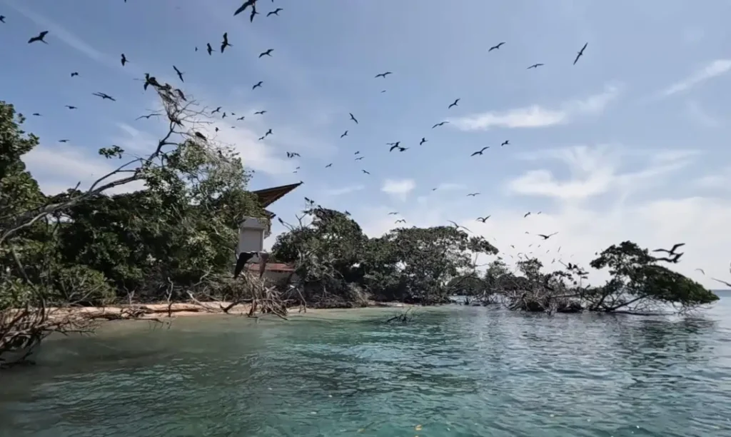 Cartagena: Excursión a las Islas del Rosario y Playa Blanca con Snorkel o Acuario - Fulloutdoor