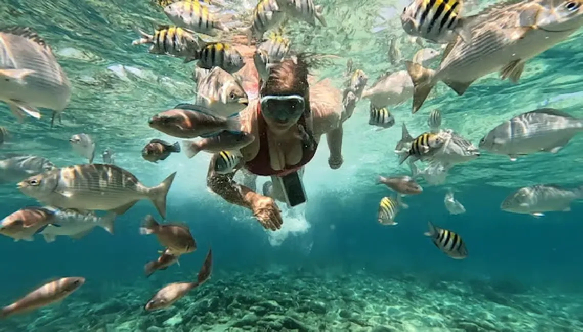 Cartagena: Excursión a las Islas del Rosario y Playa Blanca con Snorkel o Acuario - Fulloutdoor