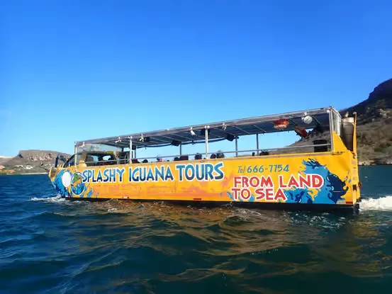 Tour Splashy Iguana en Curazao - Fulloutdoor